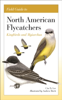 Image for Field Guide to North American Flycatchers. Kingbirds and Myiarchus