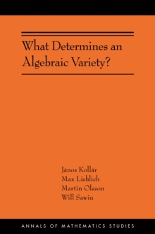 Image for What determines an algebraic variety?