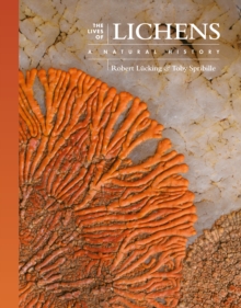 Image for The lives of lichens  : a natural history