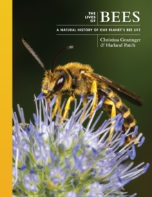 Image for The lives of bees  : a natural history of our planet's bee life
