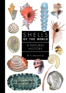 Image for Shells of the World: A Natural History