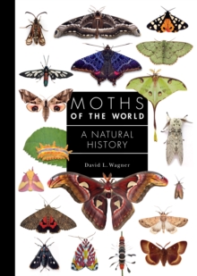 Image for Moths of the World