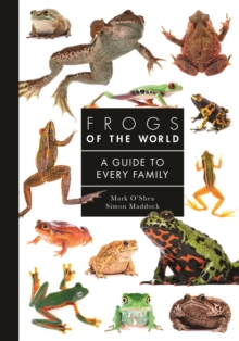 Image for Frogs of the world