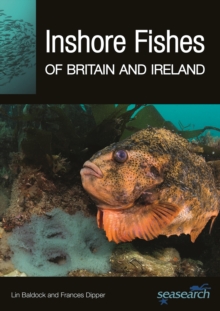 Image for Inshore Fishes of Britain and Ireland