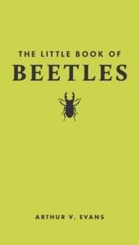 Image for The little book of beetles