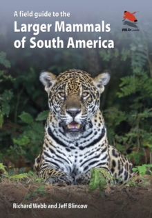 Image for A Field Guide to the Larger Mammals of South America