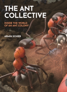 Image for The ant collective  : inside the world of an ant colony