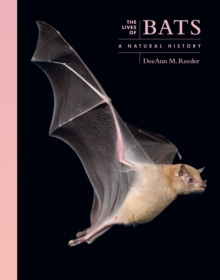 Image for The Lives of Bats