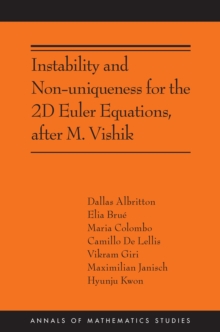 Image for Instability and non-uniqueness for the 2D Euler equations, after M. Vishik