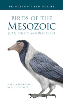 Image for Birds of the Mesozoic