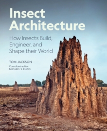 Image for Insect Architecture