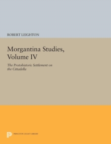 Image for Morgantina Studies, Volume IV