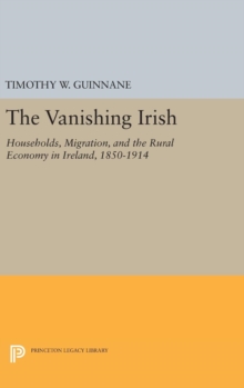 Image for The Vanishing Irish