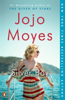 Image for Silver Bay: A Novel