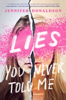 Image for Lies you never told me: a novel