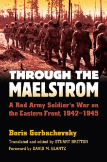 Image for Through the Maelstrom