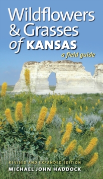 Image for Wildflowers and grasses of Kansas: a field guide