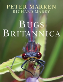 Image for Bugs Britannica