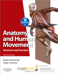 Image for Anatomy and human movement  : structure and function