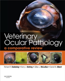 Image for Veterinary ocular pathology: a comparative review