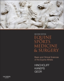 Image for Equine sports medicine and surgery  : basic and clinical sciences of the equine athlete