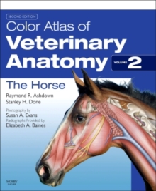 Image for Color atlas of veterinary anatomyVolume 2,: The horse
