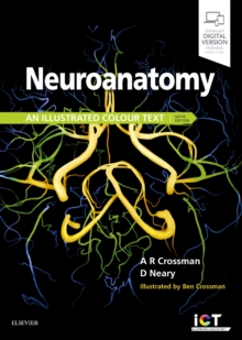 Image for Neuroanatomy: an Illustrated Colour Text