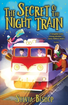 Image for The secret of the night train