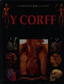 Image for Y Corff