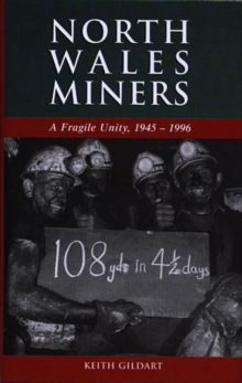 Image for North Wales Miners
