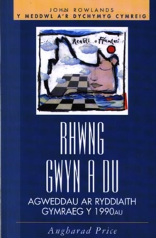 Image for Du, gwyn llwyd mawr  : awdur, testun a darllenydd yn y 1990au