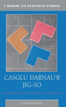 Image for Casglu darnau'r jig-so: theori beirniadaeth lenyddol R.M. (Bobi) Jones