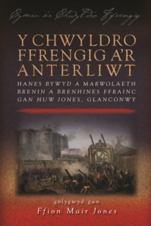 Image for Y chwyldro Ffrengig a'r anterliwt: hanes bywyd a marwolaeth brenin a brenhines Ffrainc