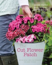 The Cut Flower Patch: Grow your own cut flowers all year round