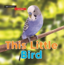 Image for This Little Bird