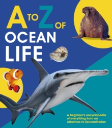 Image for A to Z of ocean life.
