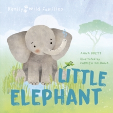 Image for Little Elephant: A Day in the Life of a Elephant Calf