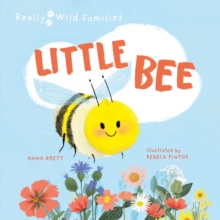 Image for Little Bee: a day in the life of the Bee brood
