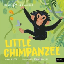 Image for Little Chimpanzee: A Day in the Life of a Baby Chimp