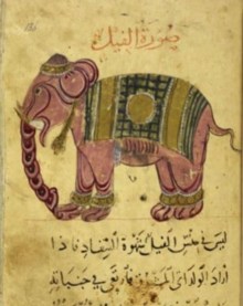 Image for Animals  : the book of the British Library exhibition