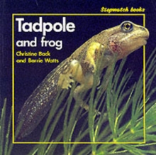 Image for Tadpole and Frog