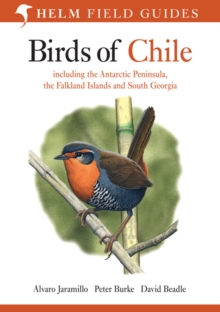 Birds of Chile