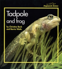 Image for Tadpole and frog