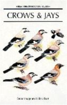 Image for Crows and Jays