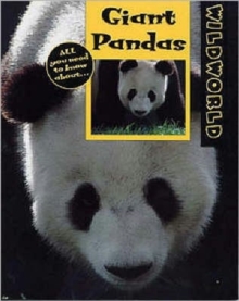 Giant Pandas