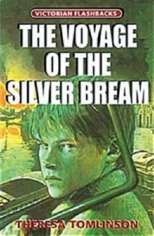 Image for Voyage of the Silver Bream