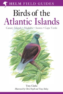 Image for Field guide to the birds of the Atlantic islands
