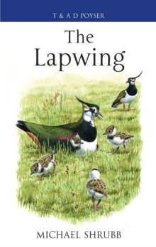 The Lapwing The Lapwing