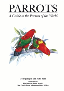 Image for Parrots : A Guide to Parrots of the World