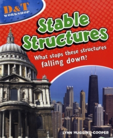 Image for Stable structures